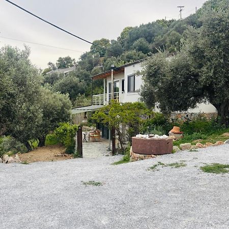 Tierra Villa Szkiáthosz Kültér fotó